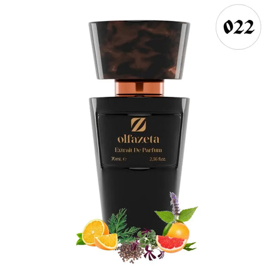 Marque: Olfazeta By chogan Parfum homme 
70ml inspiré de ( Terre d'Hermès HERMES)